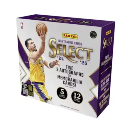2024-25 Select Basketball Hobby Box